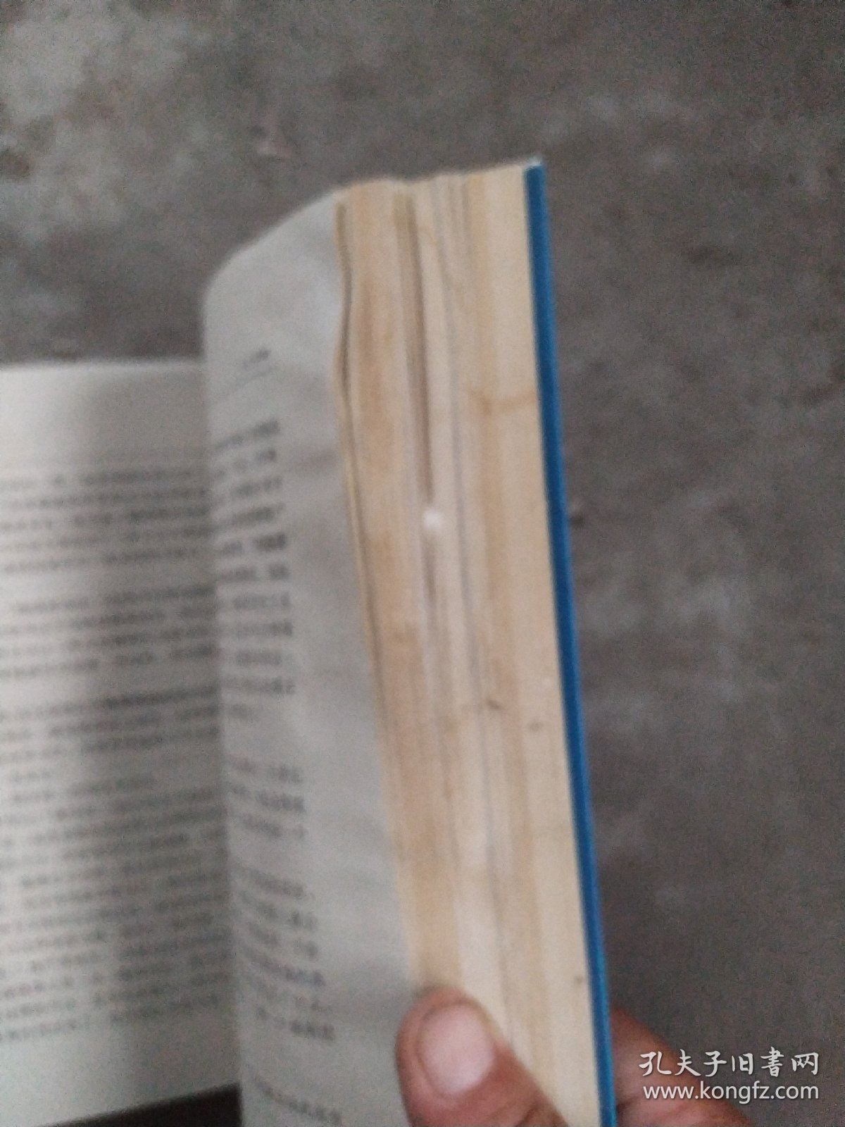 塞莱斯廷预言，