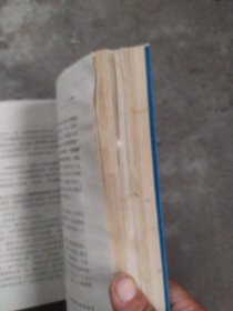 塞莱斯廷预言，