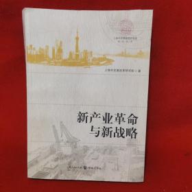 上海市发展改革研究院研究丛书：新产业革命与新战略