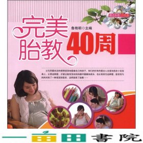 完美胎教40周辽宁科学技术出9787538175714