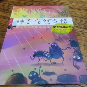 神奇自然之旅-屎殼郎暴動啦