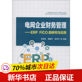 电网企业财务管理：ERPFICO的研究与应用