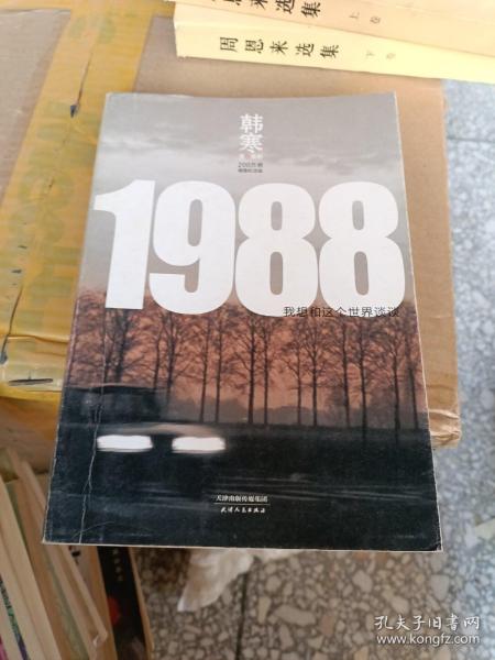 1988：我想和这个世界谈谈