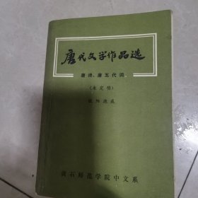 唐代文学作品选
