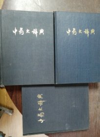 中药大辞典（上下）十中药大辞典附偏