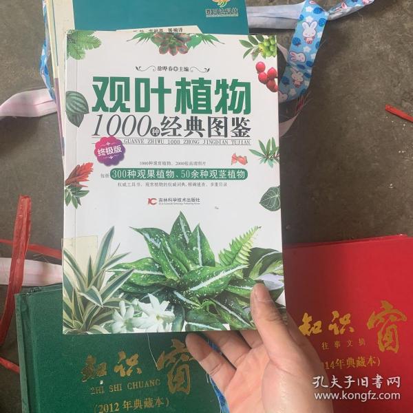 观叶植物1000种经典图鉴