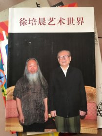徐培晨艺术世界