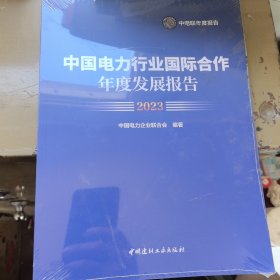 中国电力行业国际合作年度发展报告2023