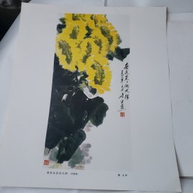 年画宣传画 葵花朵朵向太阳