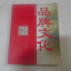 品牌文化——品牌战略与管理丛书