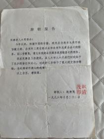 双牌文献        1996年辞职报告   有折痕