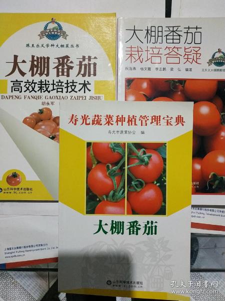 大棚番茄高效栽培技术