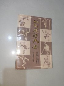 四川武术大全 下册