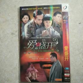 爱盛开DVD2碟