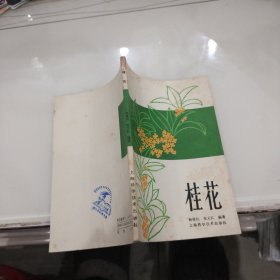 桂花