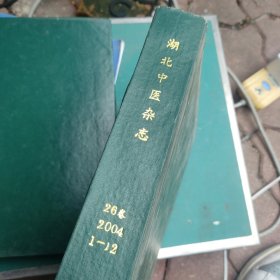 湖北中医杂志2004全年