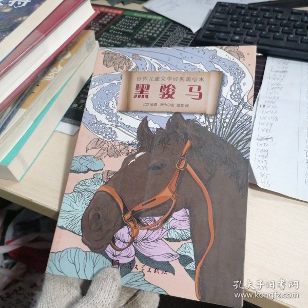 世界儿童文学经典美绘本：黑骏马