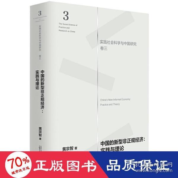 中国的新型非正规经济：实践与理论（实践社会科学与中国研究·卷三）