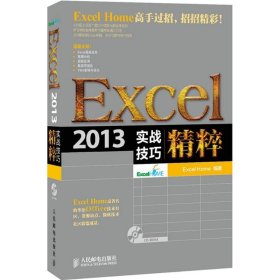 Excel 2013实战技巧精粹