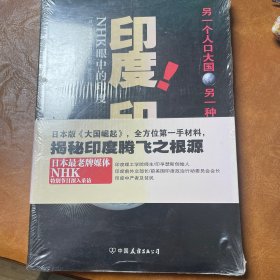 印度！印度！：NHK眼中的印度