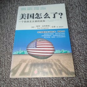 美国怎么了？：一个自由主义者的良知