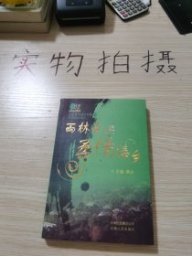 雨林景洪 柔情傣乡:打造景洪城市形象系列活动巡礼