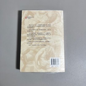 痛苦与狂喜:众神之巅:米开朗基罗传2