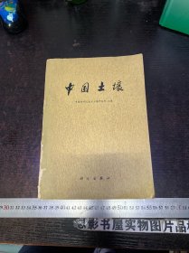 中国土壤   【缺封底】