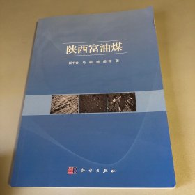 陕西富油煤