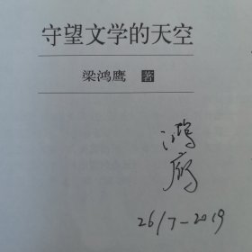 守望文学的天空