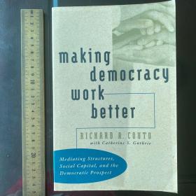 Making democracy work better History patterns models 英文原版