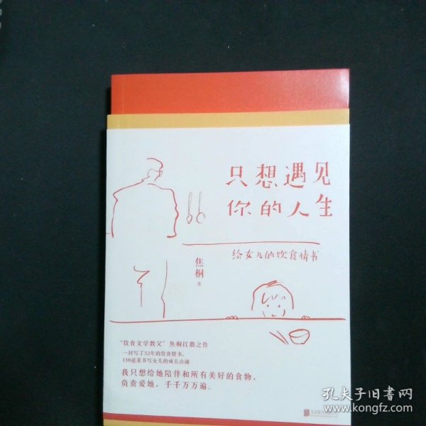 只想遇见你的人生（一封给女儿写了32年的20万字情书，台湾饮食文学教父焦桐扛鼎之作）