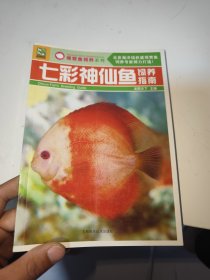 七彩神仙鱼饲养指南