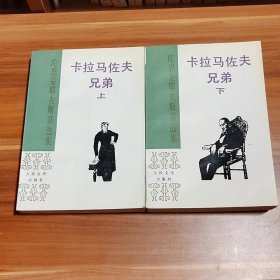 卡拉马佐夫兄弟（上下两册）1993年1版1印