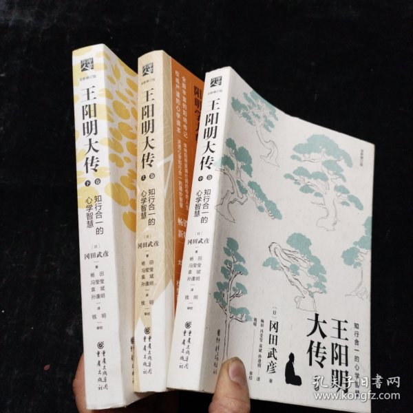 王阳明大传：知行合一的心学智慧（全新修订版）