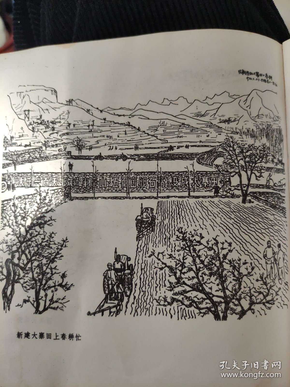 散页美术资料（印刷品）——老速写作品——西关民兵营○新建大寨田上春耕忙○2349