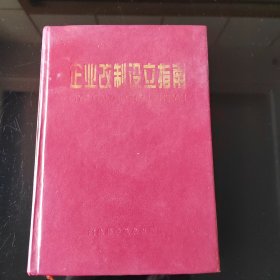 企业改制设立指南，精品，2025年，6月13号上，