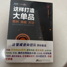 这样打造大单品: 案例·策略·方法---博瑞森图书