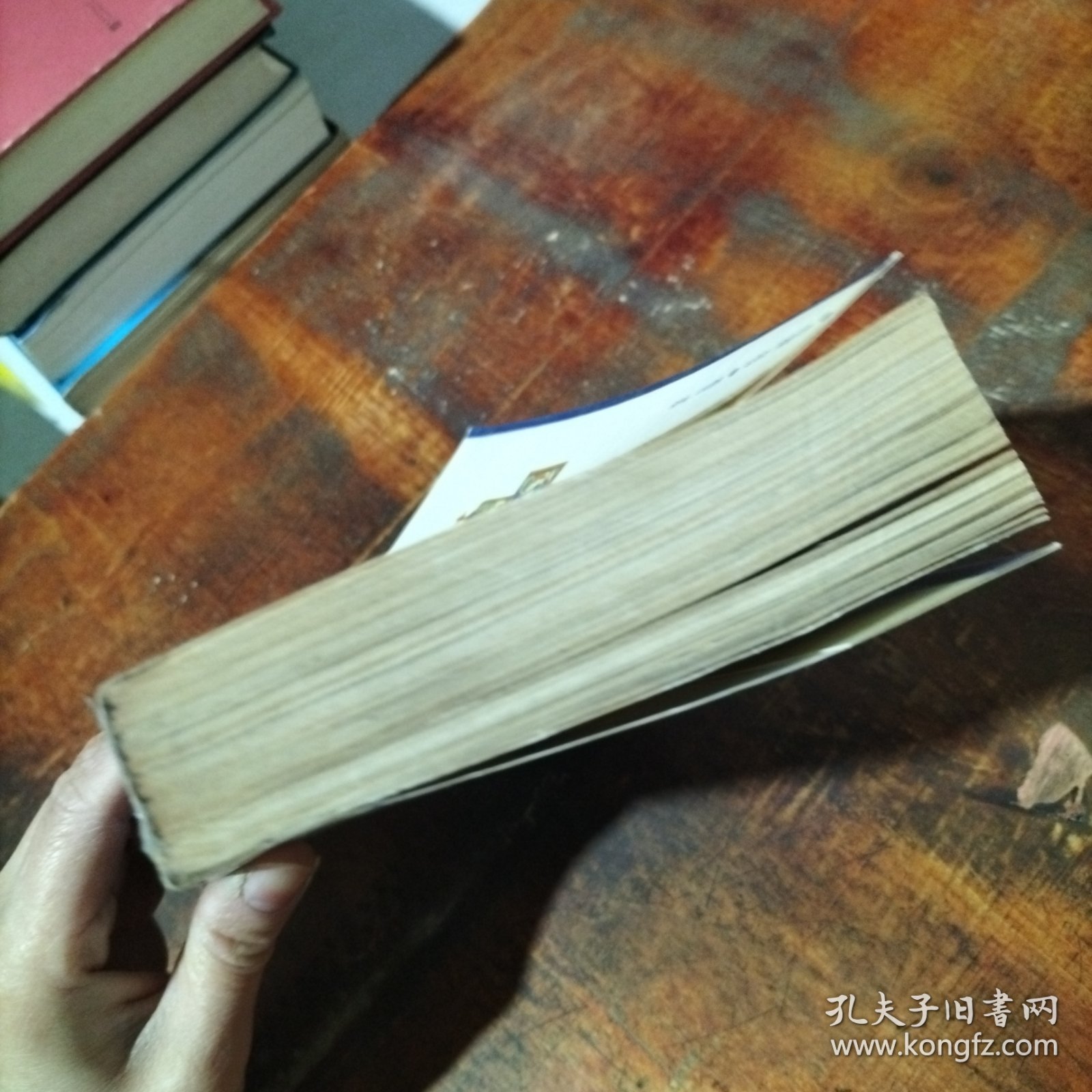 十日谈 中原农民出版社