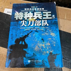 特种兵王3：尖刀部队