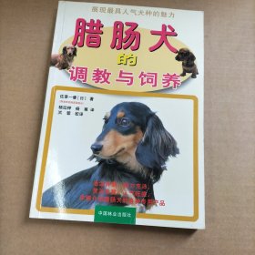 腊肠犬的调教与饲养