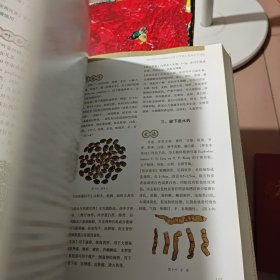 临床常用中草药鉴别与应用