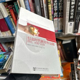 信息时代新青年议题：理论、政策与实务