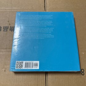 Flexible Visual Identity 灵活的视觉识别标志设计过程的创建和方法 英文原版