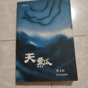 天瓢：16开简装本