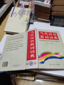 当代汉语新词词典