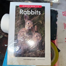 LEVELED BOOK A Rabbits (15本合售）