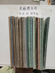 世界美术家画库（惠斯勒，毕加索，维亚尔，透纳，马奈，蒙克，罗丹，高更，弗拉芒克，拉斐尔，德加，马蒂斯，迪菲，吕德卡尔波，普桑，米勒，夏凡纳莫罗，霍默，夏尔丹，什瓦宾斯基，毕沙罗）共21本 1.7千克