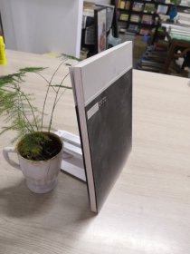 天工自然·青田石雕  张爱光石雕艺术精品集