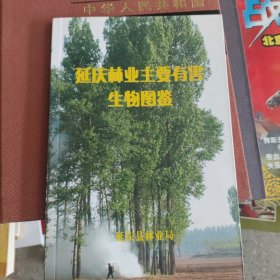 延庆林业主要有害生物图鉴